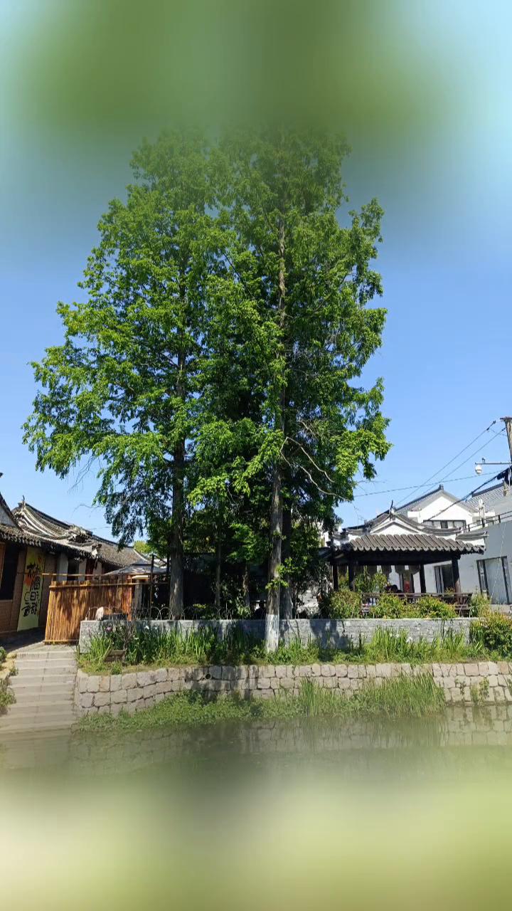 浪漫五月已经抵达，人生的故事写在四季里。愿你一路出发，一路繁华。愿你眼里有光，心