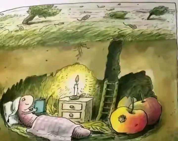 通过图片，你能看出啥道理？