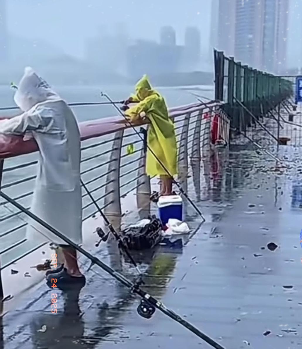 真的很佩服那些钓鱼爱好者，
超级台风“桦加沙”来了，
都不能阻止他们出门垂钓，