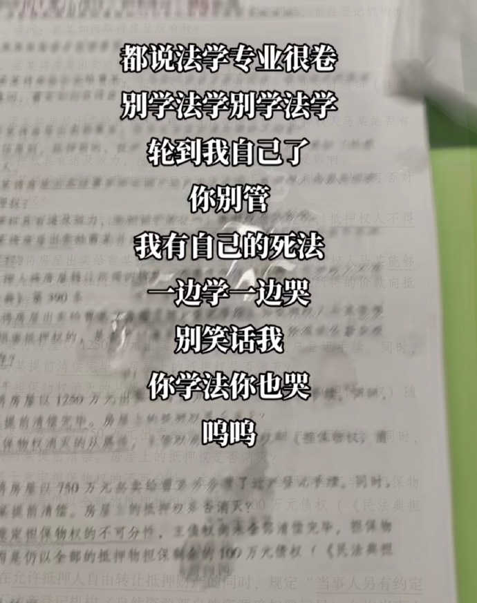 法学生有自己的精神状态  满脑子都是法条的日子确实“疯”，但也挺可爱的，坚持住呀