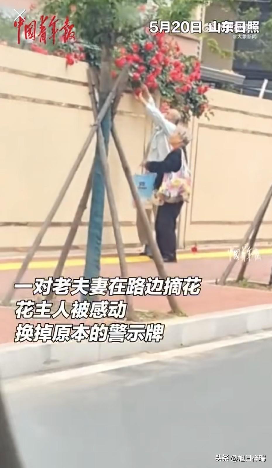 山东一老爷爷为妻子摘花，花主被感动，连夜将警示牌从“禁止摘花”换成“允你温柔带走