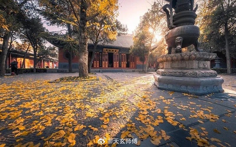 老师，您好！我真的快撑不下去了……这段婚姻让我身心俱疲。想请您帮我看看，我到底是