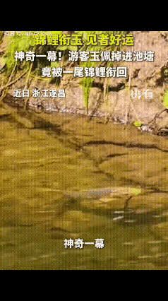“解释不清了！”浙江遂昌，一游客喂鱼时，贴身玉佩不小心掉进深水湖里，本以为彻底找