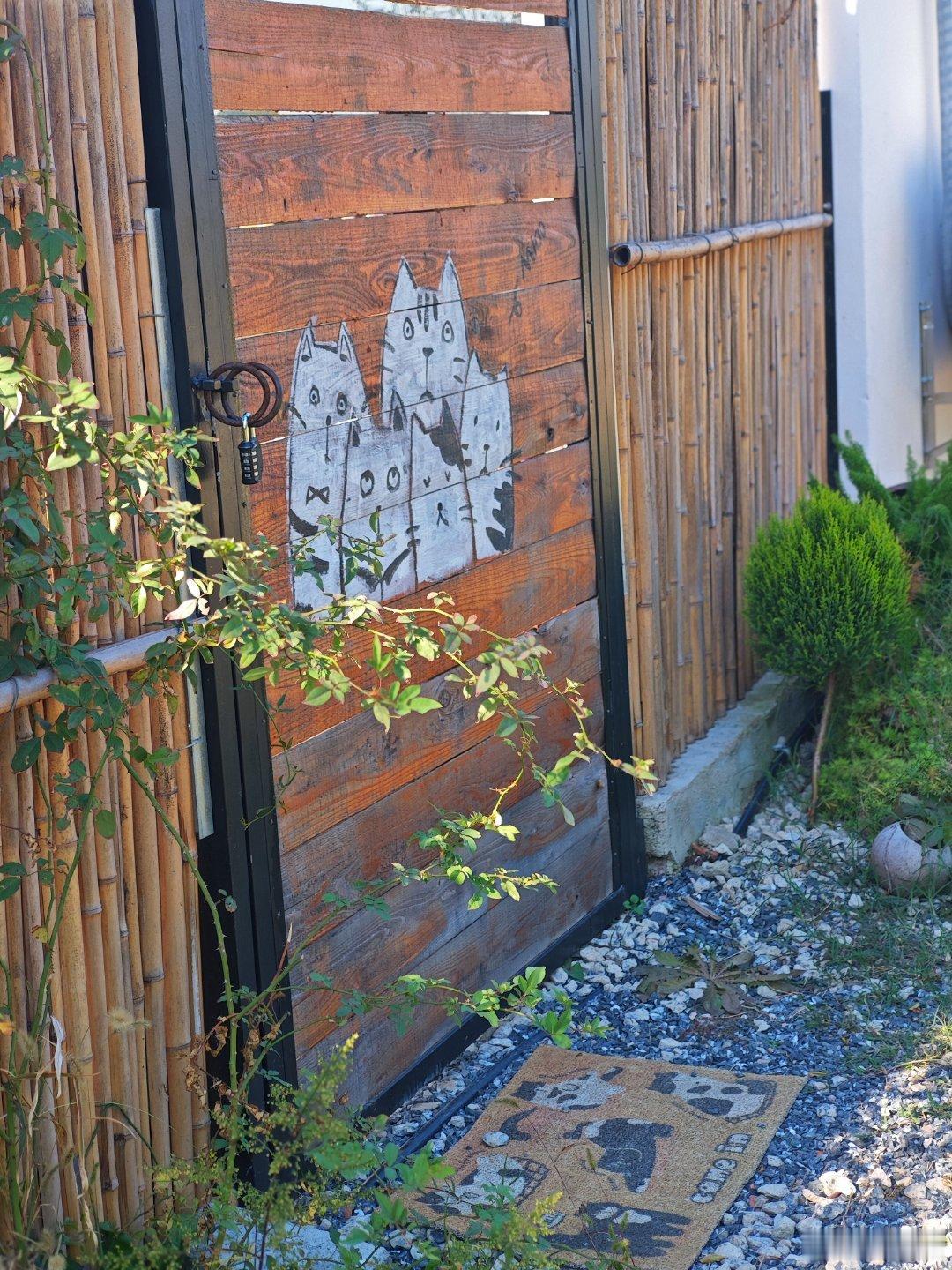 你上次说，总在深夜懊恼复习效率不高，其实我也常在清晨醒来，对着天花板数绵羊。后来