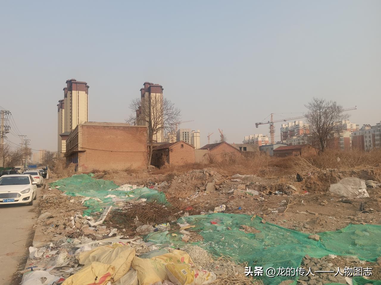 天南地北大拜年