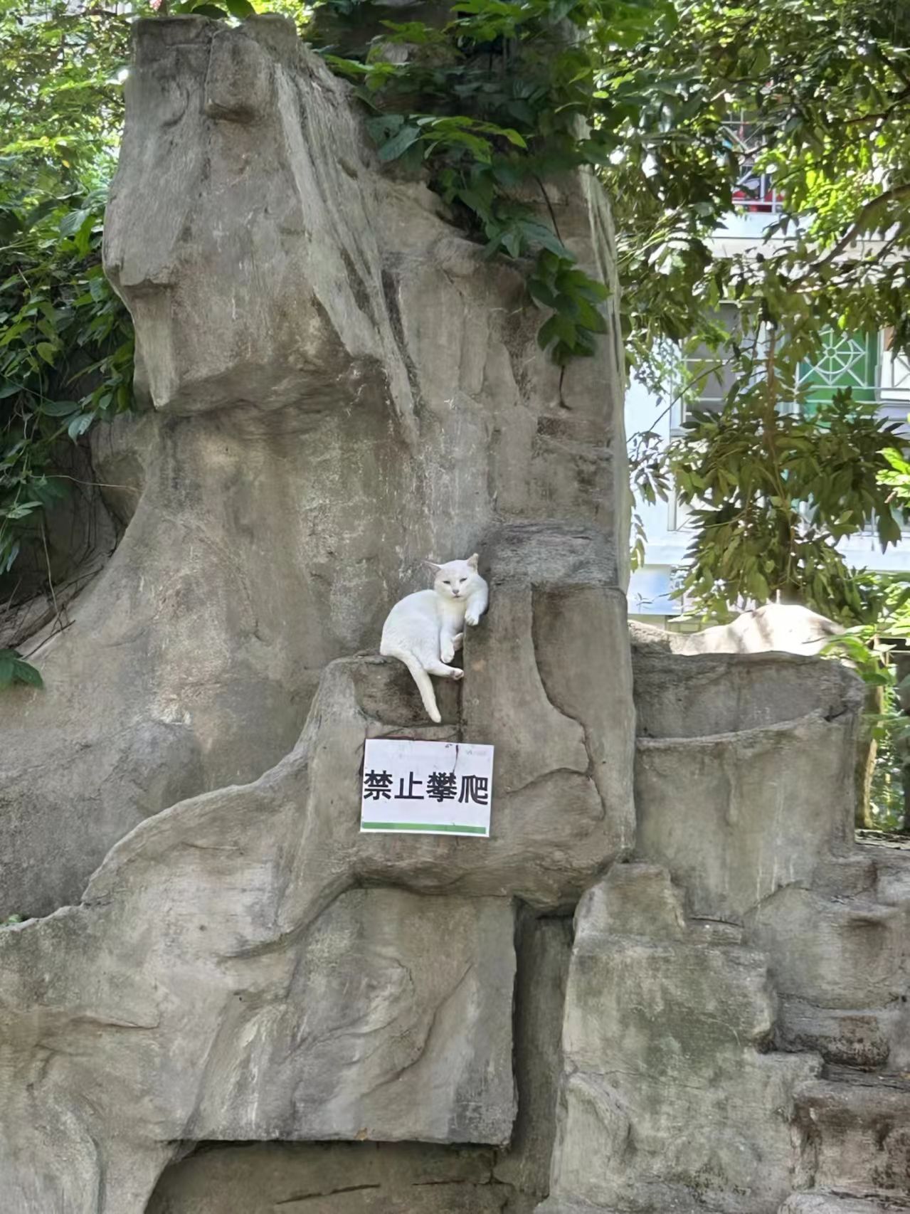 🐱：我就爬了，如何呢 