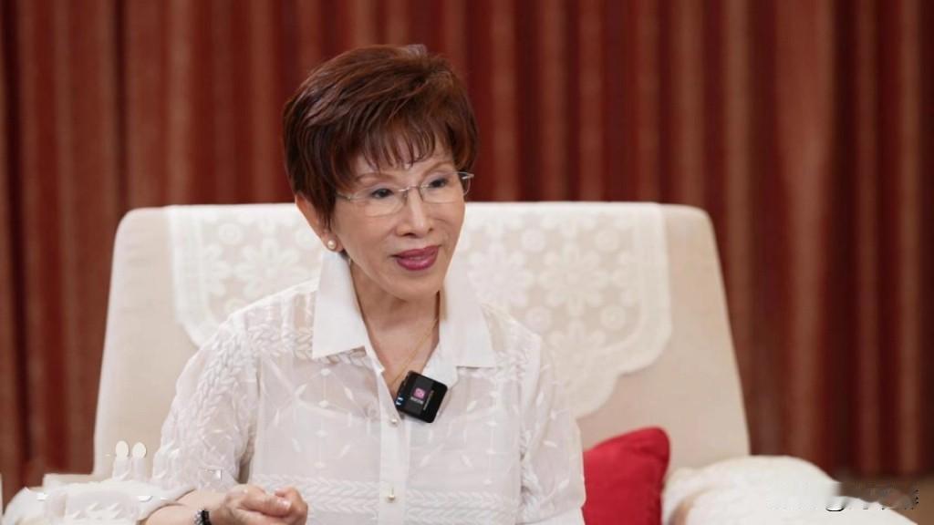 洪秀柱：既然早晚要统一，不如赶快统一吧
洪秀柱接受采访时表示，中国发展势头如旭日