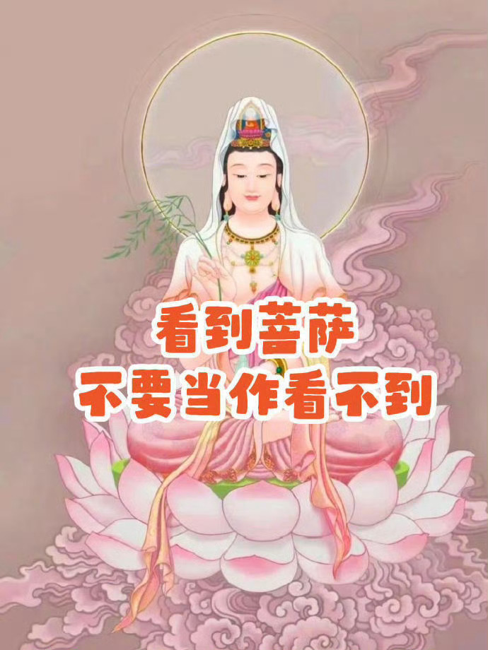 看到观音不要滑走 说明好运要开始了 ！！！ 