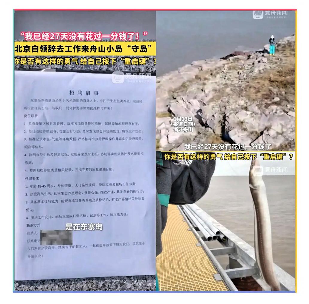 羡慕了！浙江舟山，一女生在网上看到一份“守岛”的招聘启事，于是果断辞掉了北京的白