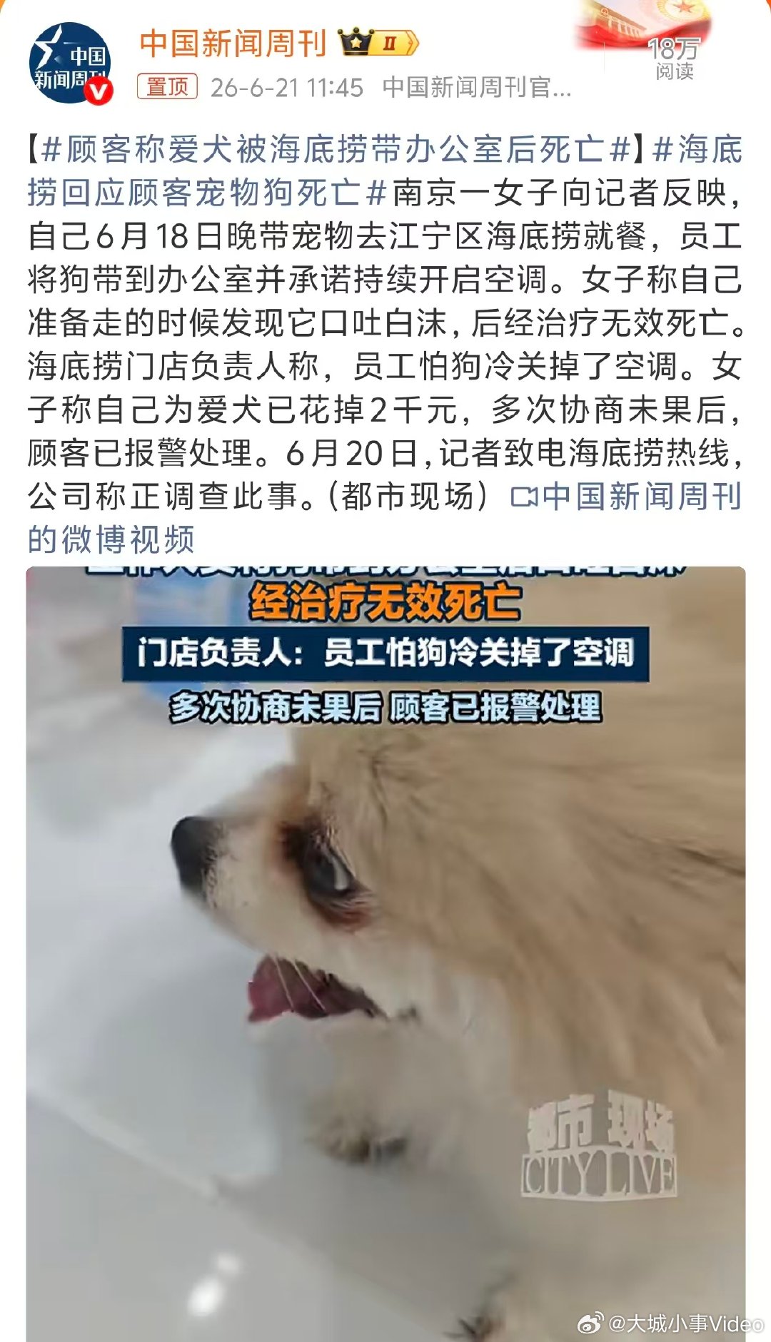 【海底捞门店回应顾客宠物狗死亡】海底捞门店公布宠物狗死亡事件详情 6月21日，顾