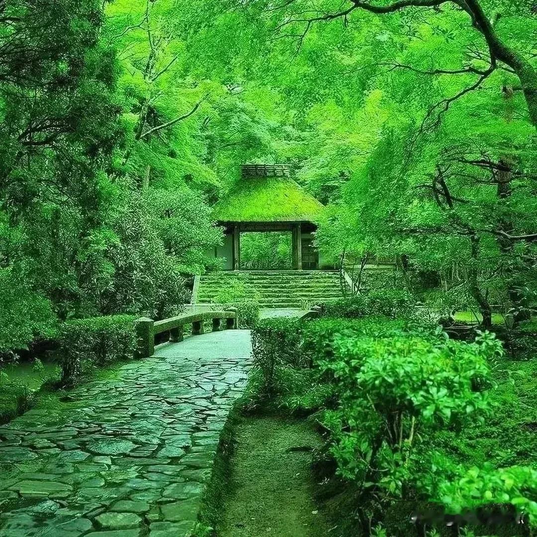 #上联：秋风送爽稻香飘，诚邀下联#
#下联：冬雪迎新梅影动。#
#横批：岁序更新
