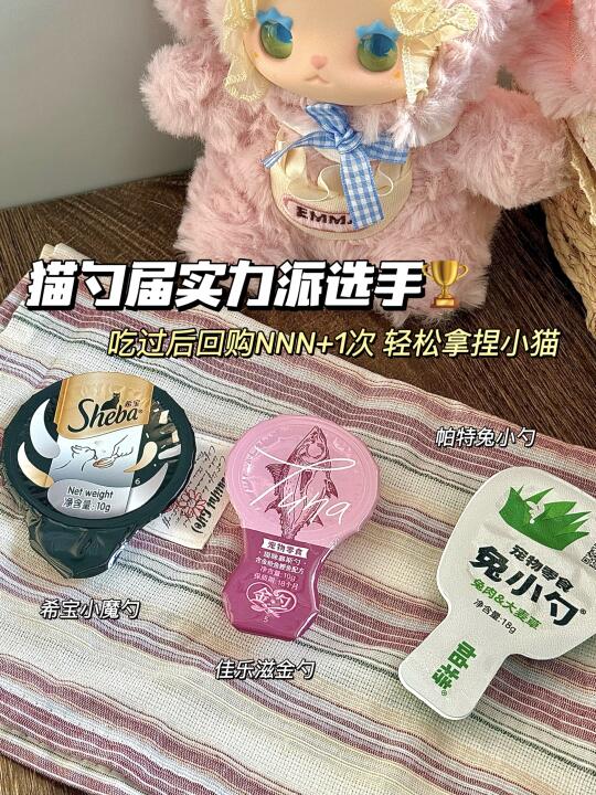 猫勺届实力派选手｜养猫人必看❗️