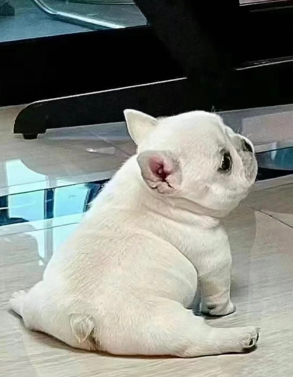 15天，沉淀了一下，不知道说什么了，给大家劈个叉吧～ 