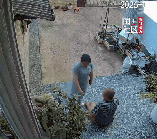 “笑不活了！”云南，男子花了多年的时间养了一株“九尾狐”，长得很茂盛也开了花，老