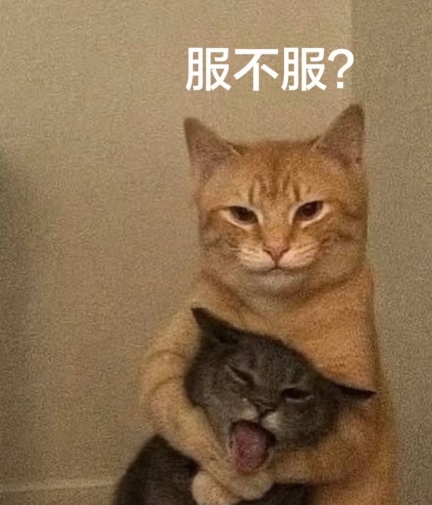 数不清今天发出多少条评论助攻和加固热门了……还好今天运气爆棚，还没频繁大家都动起