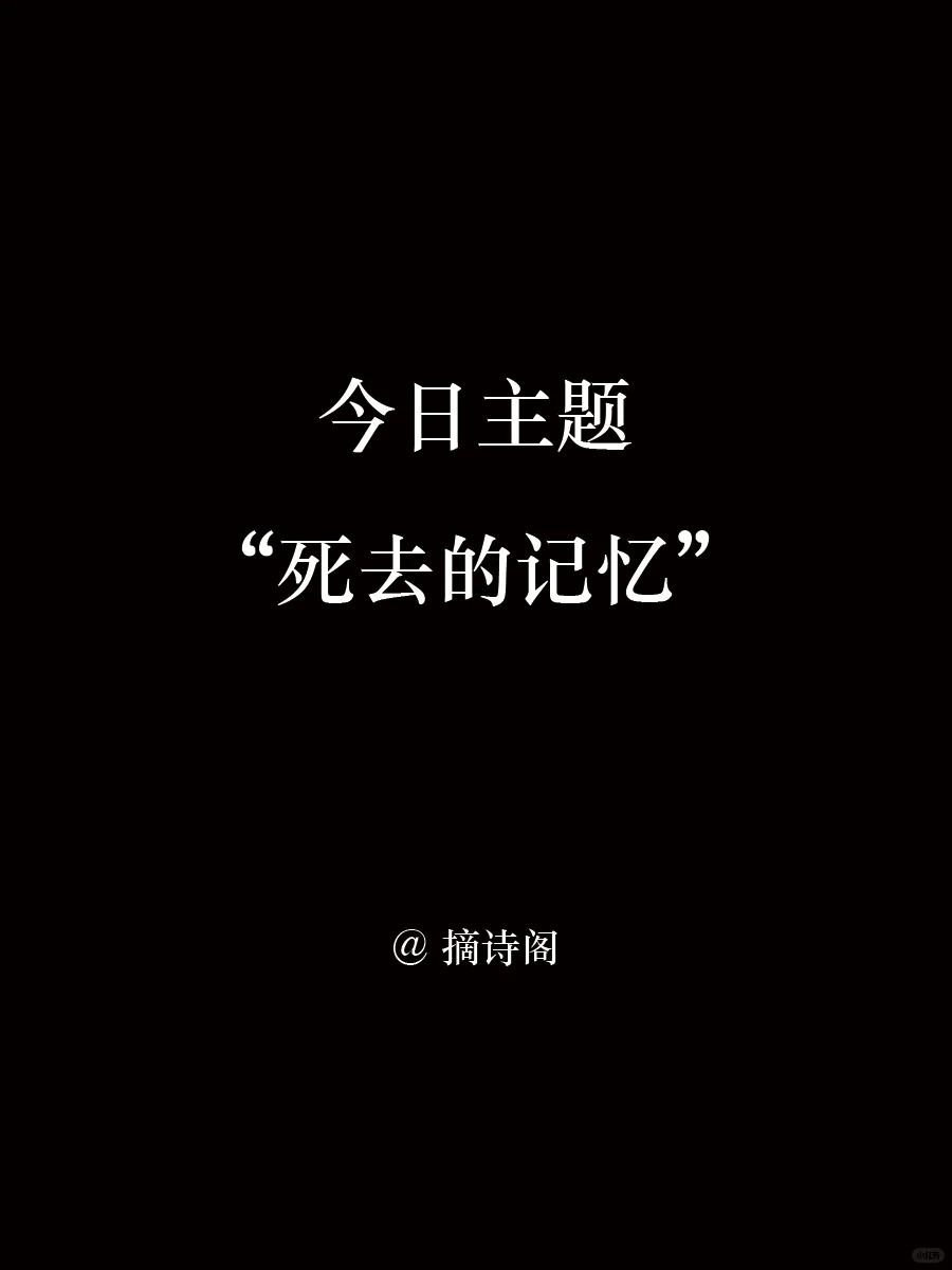 今日主题“死去的记忆”，哪句最刀？