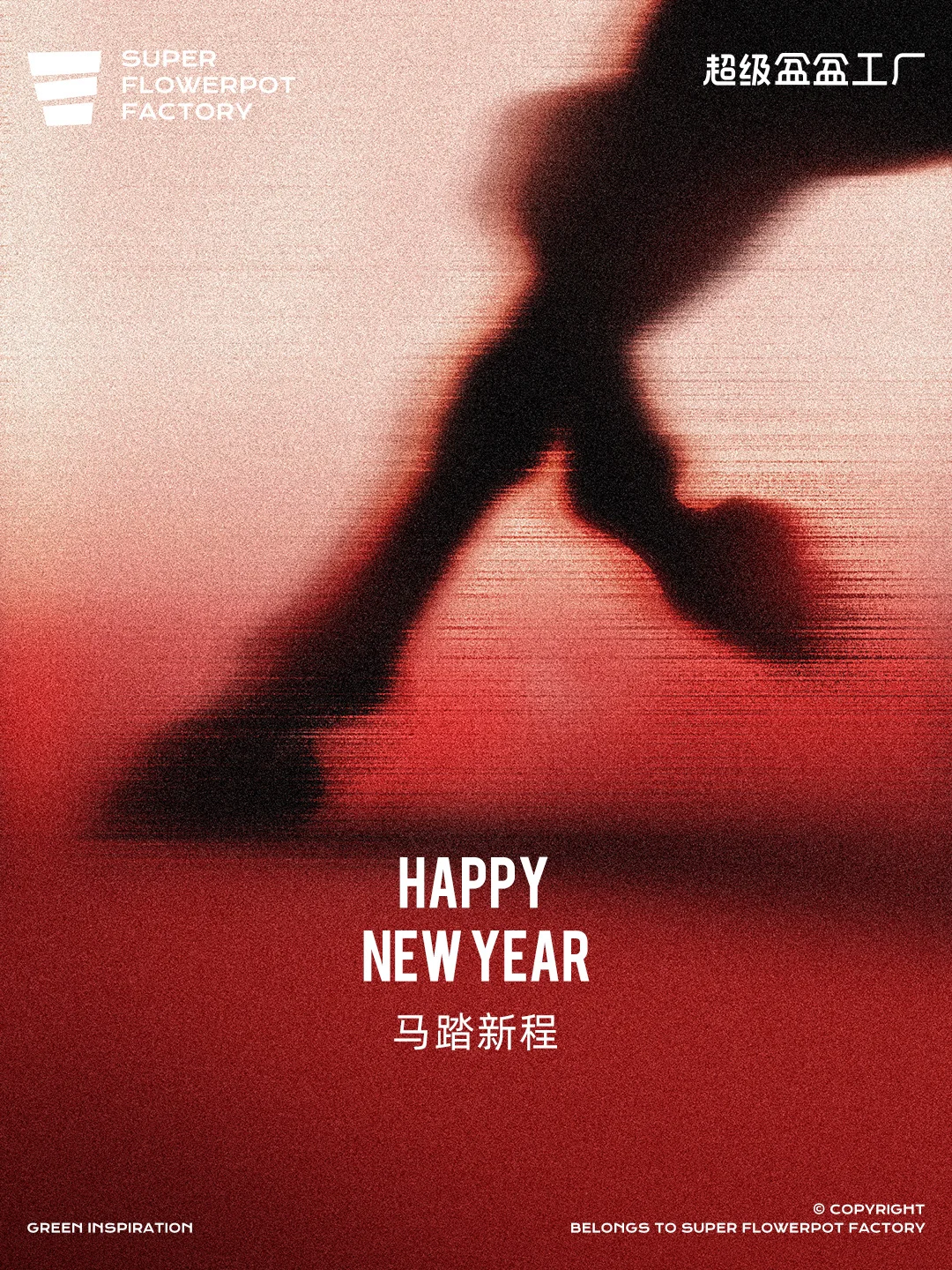 Happy new year ✨🧨💰🎁