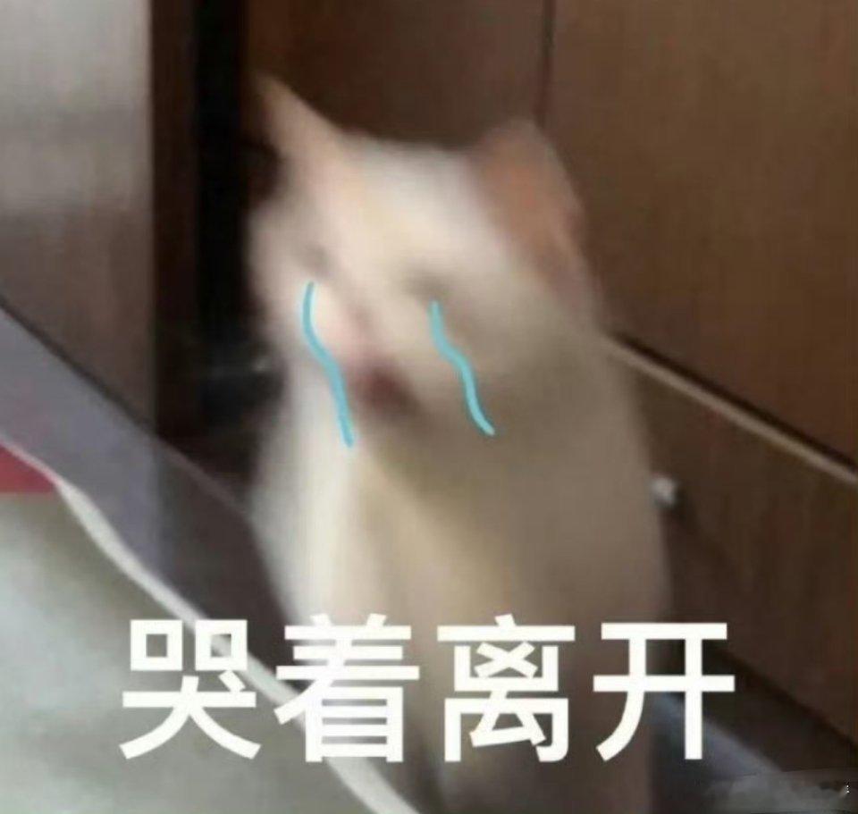 经济舱还无人接机？ ​​​