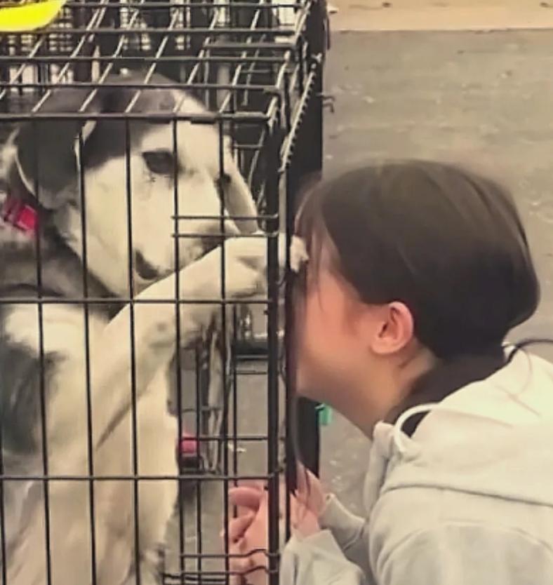 太有缘了！2026年2月，女子在狗市上找到了自己失踪两年的狗狗，女子情绪激动的抓