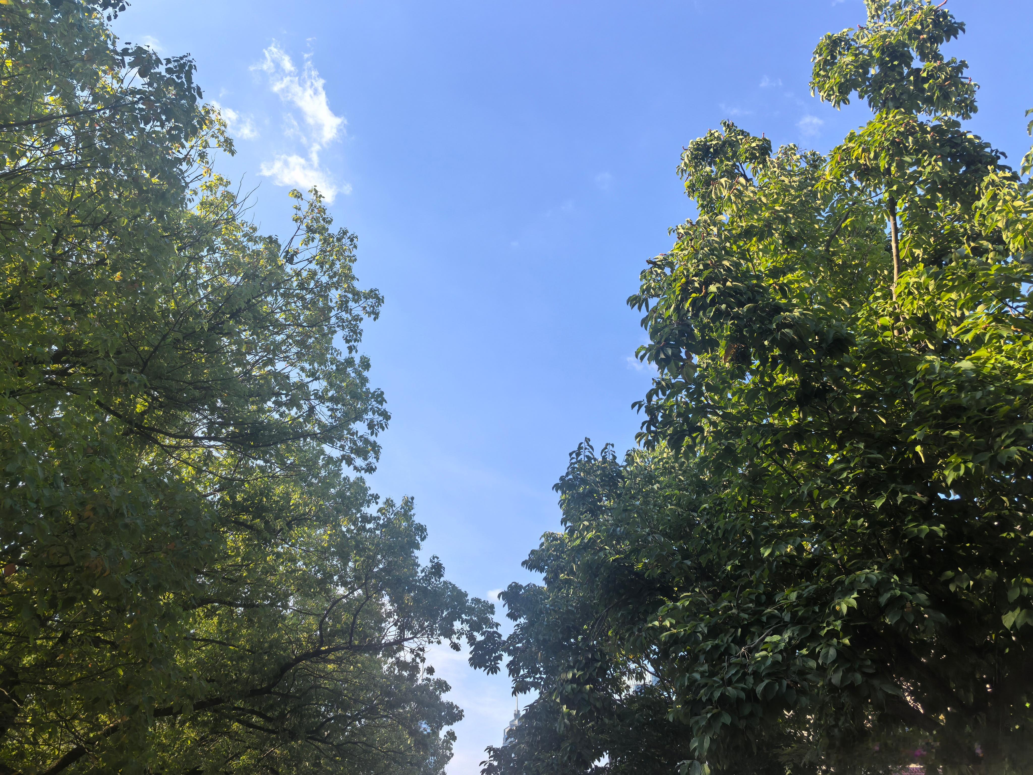 认清自己的方向，持续自己的成长，这才是对自己真正负责任的态度。 苏州·苏州金迅博