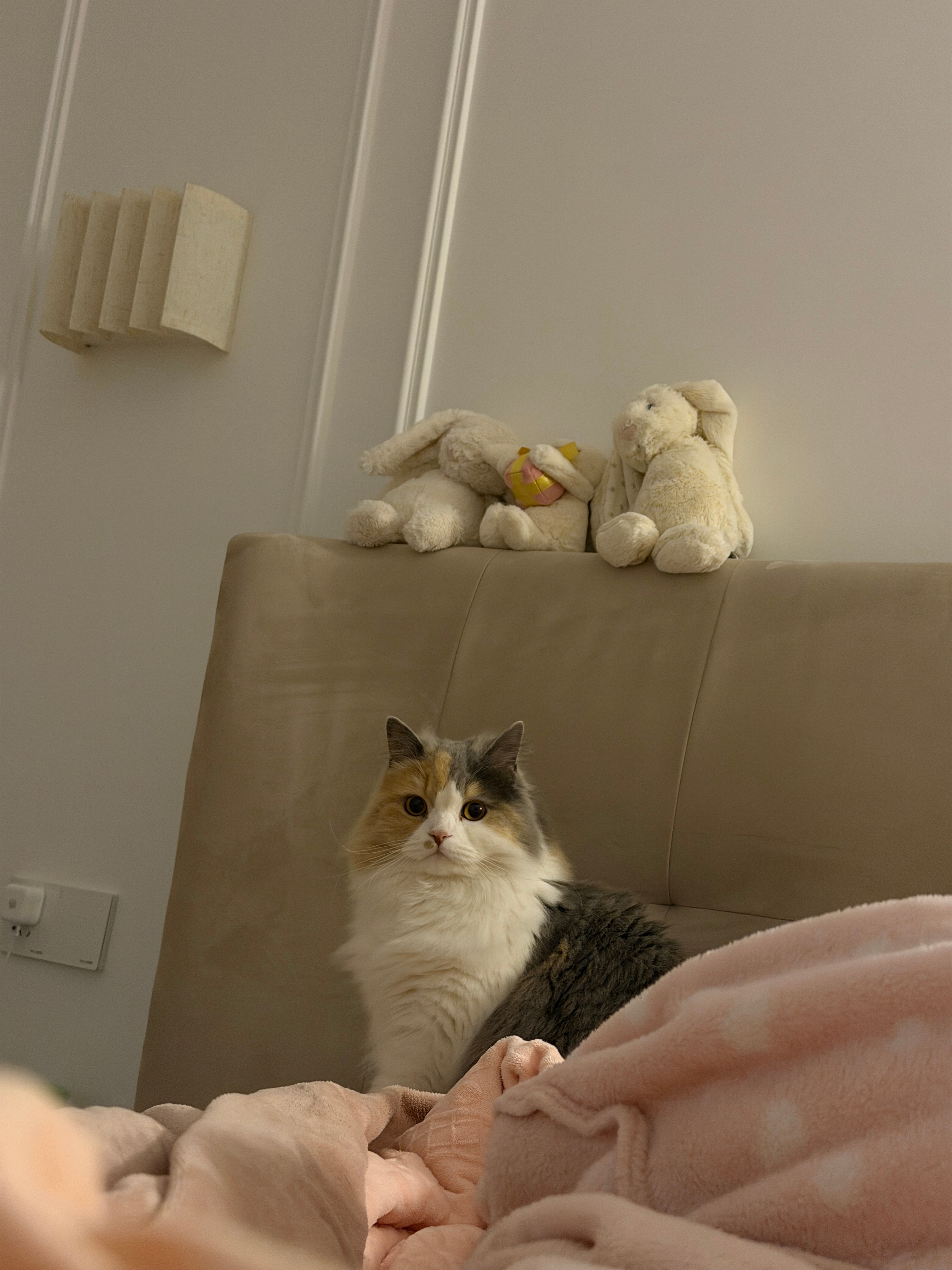 每天醒来就能看到她这样正义的看着我 可爱小宝 