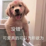 游泳王读读影视剧