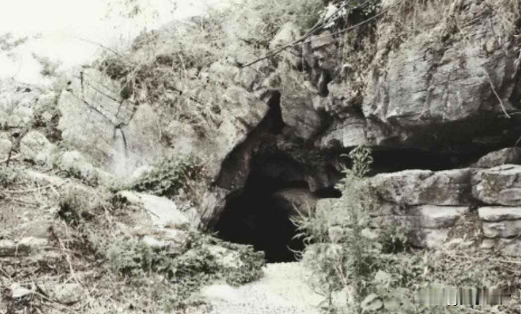 1945年抗日战争胜利后，南京村民黄长海在山上打猎意外发现一处山洞，里面的景象让