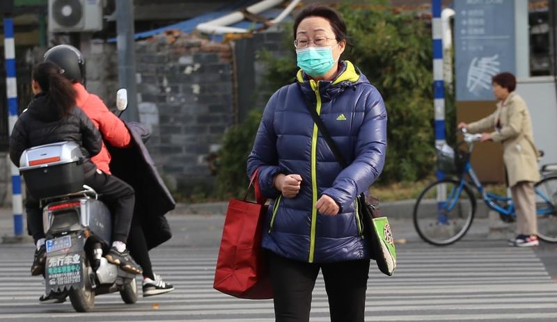 今年这天气着实怪异，感觉没那么冷。本以为冬天会这般温和地过去，没想到很可能会返春