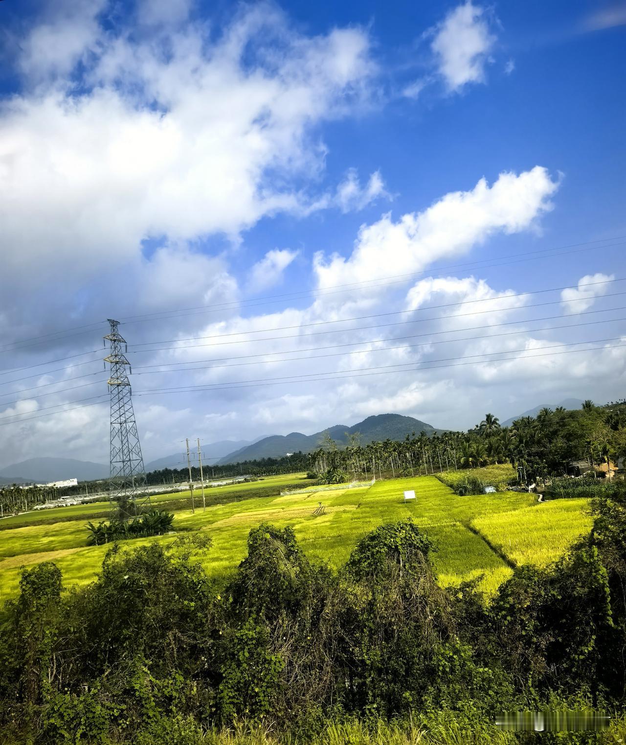 晒图笔记大赛澄澈蓝天缀着蓬松白云，远山如黛，层峦叠翠。成片椰林亭亭玉立，黄绿相间
