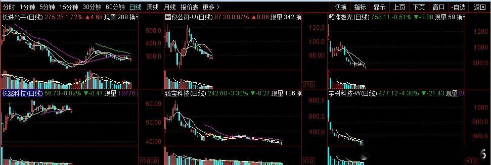 26年上市了113只“大肉签”，馋死人啦！今年1月1日—9月11日，共计113只