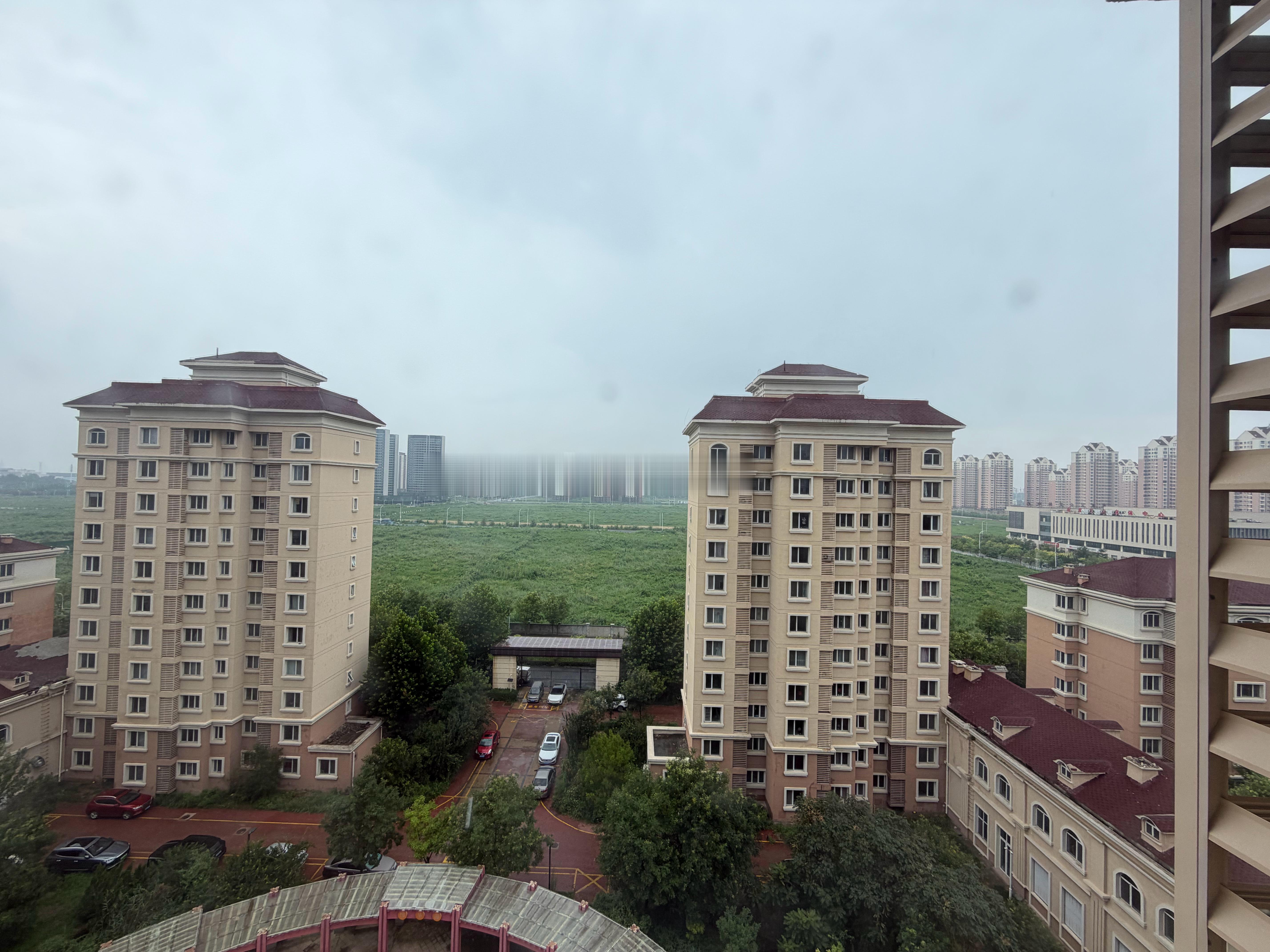 我觉得青蛙🐸的叫声是从外面那一片绿地传过来的