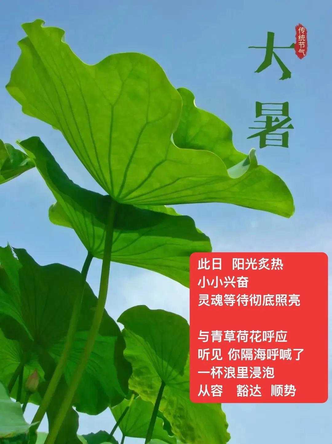 写大暑    
一抹清凉
写荷花  玉洁冰清
写一场风景编辑
黄昏黎明
．
眉间