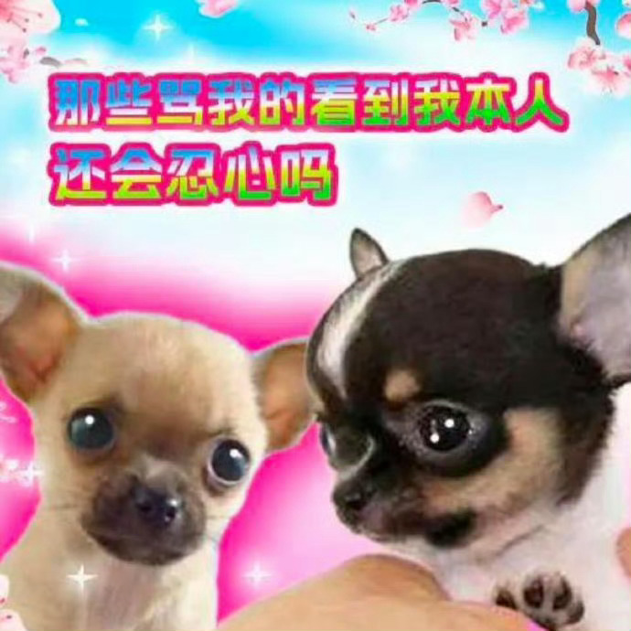人家rs发的文案都那么温和了 又没踩一捧一又没骂谁的 能不能别莫名其妙抓着我不放