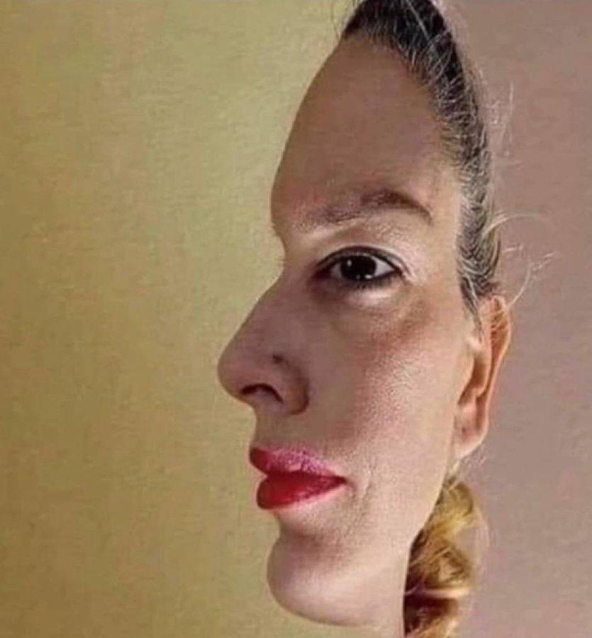 这张图能让人脑“死机”