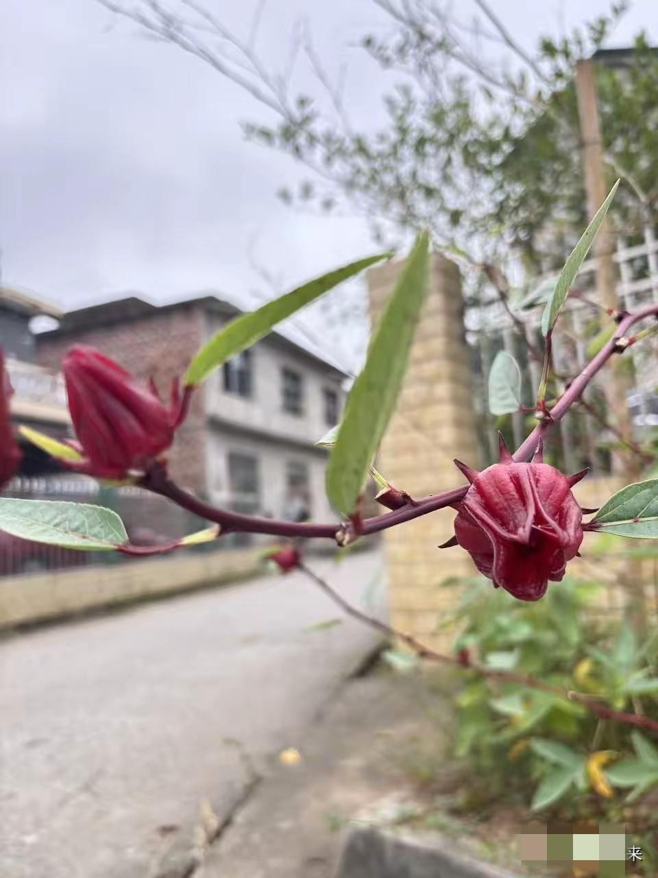 55岁刚退休，看着银行卡里的50万，突然红了眼——这哪是存款，分明是老妈念叨了半