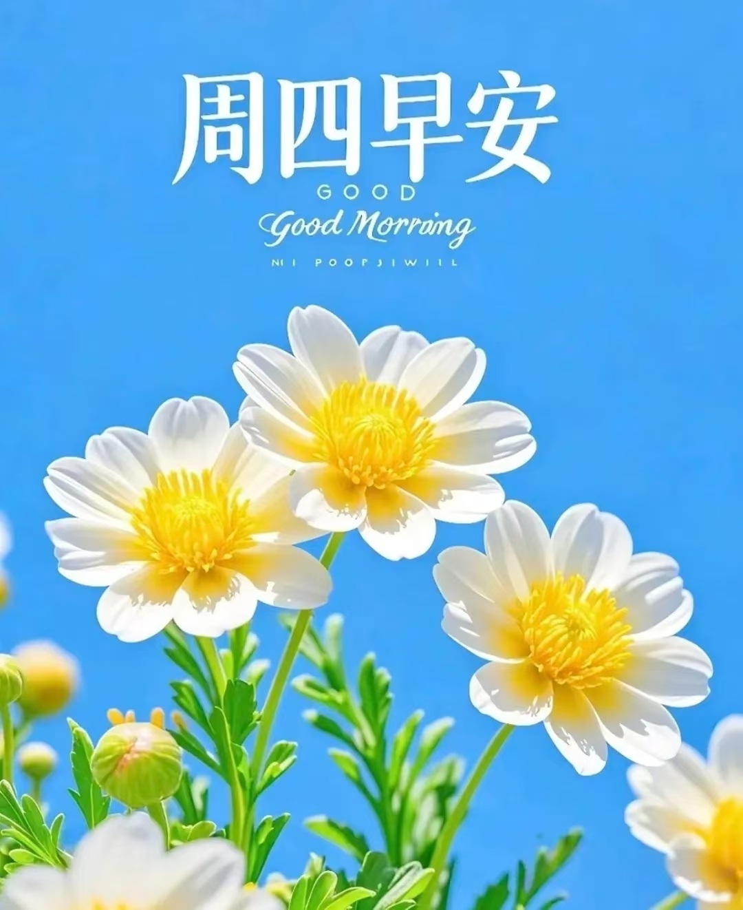 💝🎸惜当下烟火🎺💖🌻 ²⁰²⁶/7. 2. 五月十八🏡☀️周四愉快,
