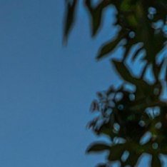 每日一善🌞每日一善 🌞阳光信用你该孜孜不倦地在与你相伴的人中间追寻你最深挚的