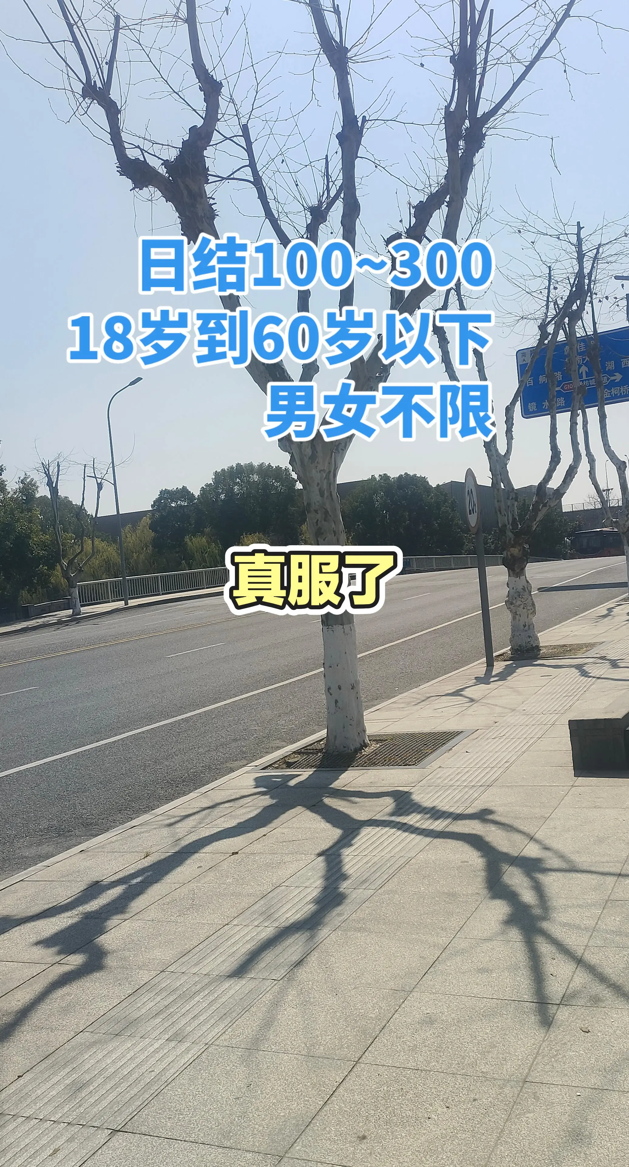 日更新