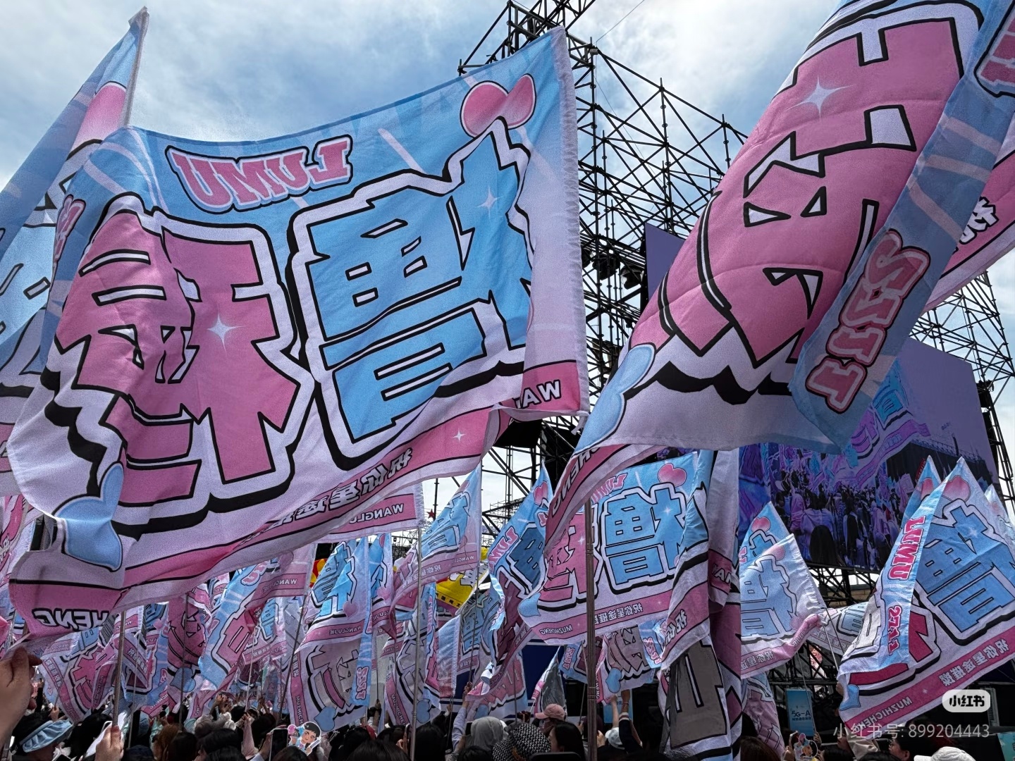 橹穆 蓝粉举起来🩵🩷 