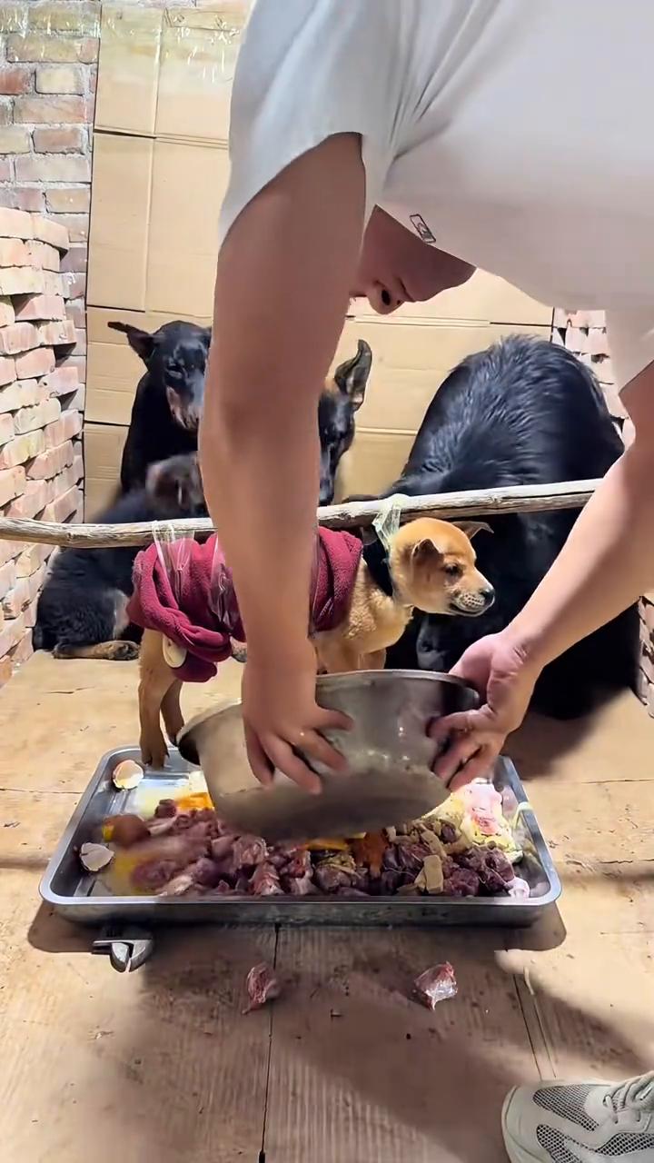 鸡肉、鸭脖、卤菜、南瓜、米汤，利用吃饭时间说两句话。
·第一，做好防暑保障。入夏