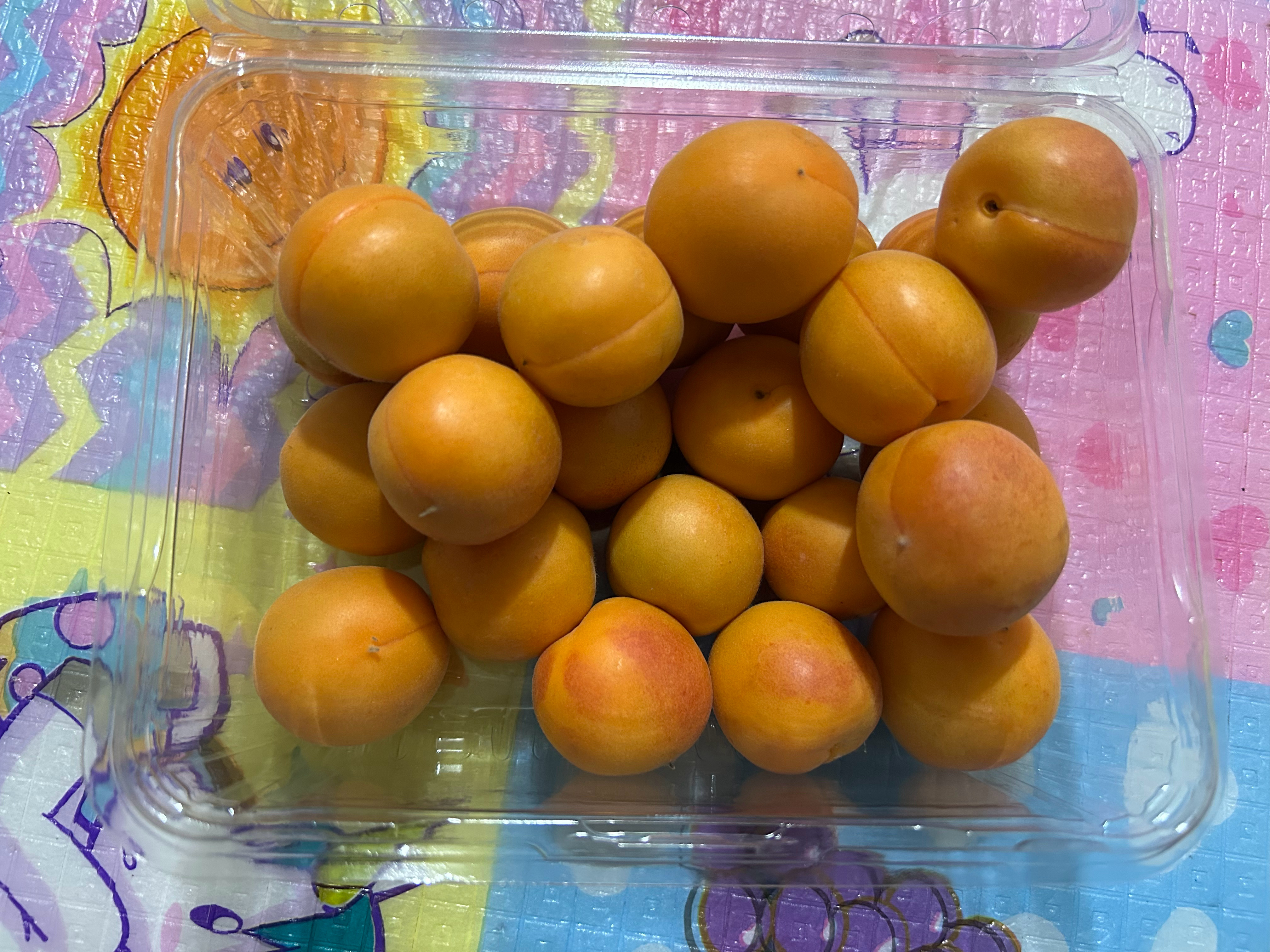 新疆吊干杏，甜是挺甜，就是核太大了，而且好贵.....猜猜这点儿多少钱？连包装盒