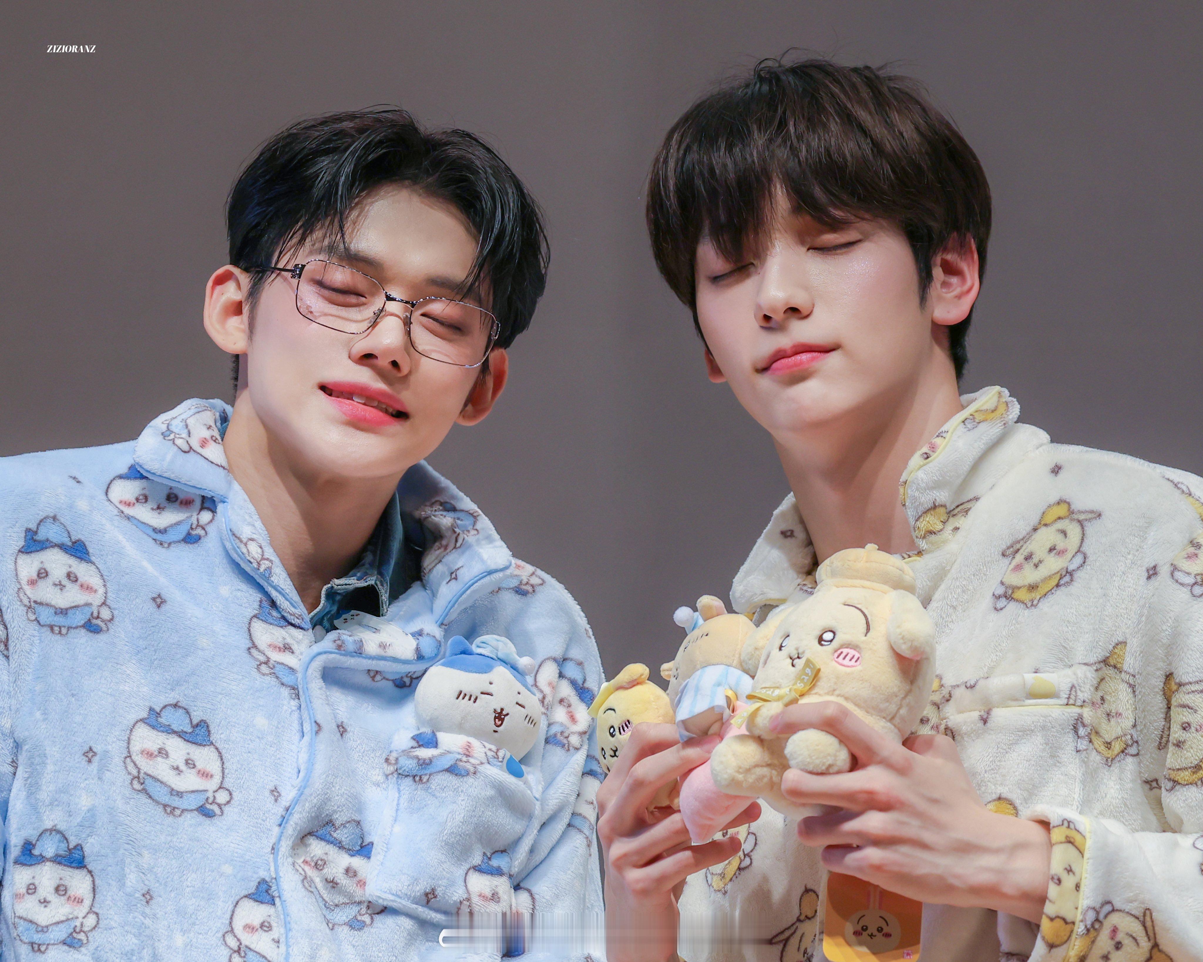 🐱🐰 