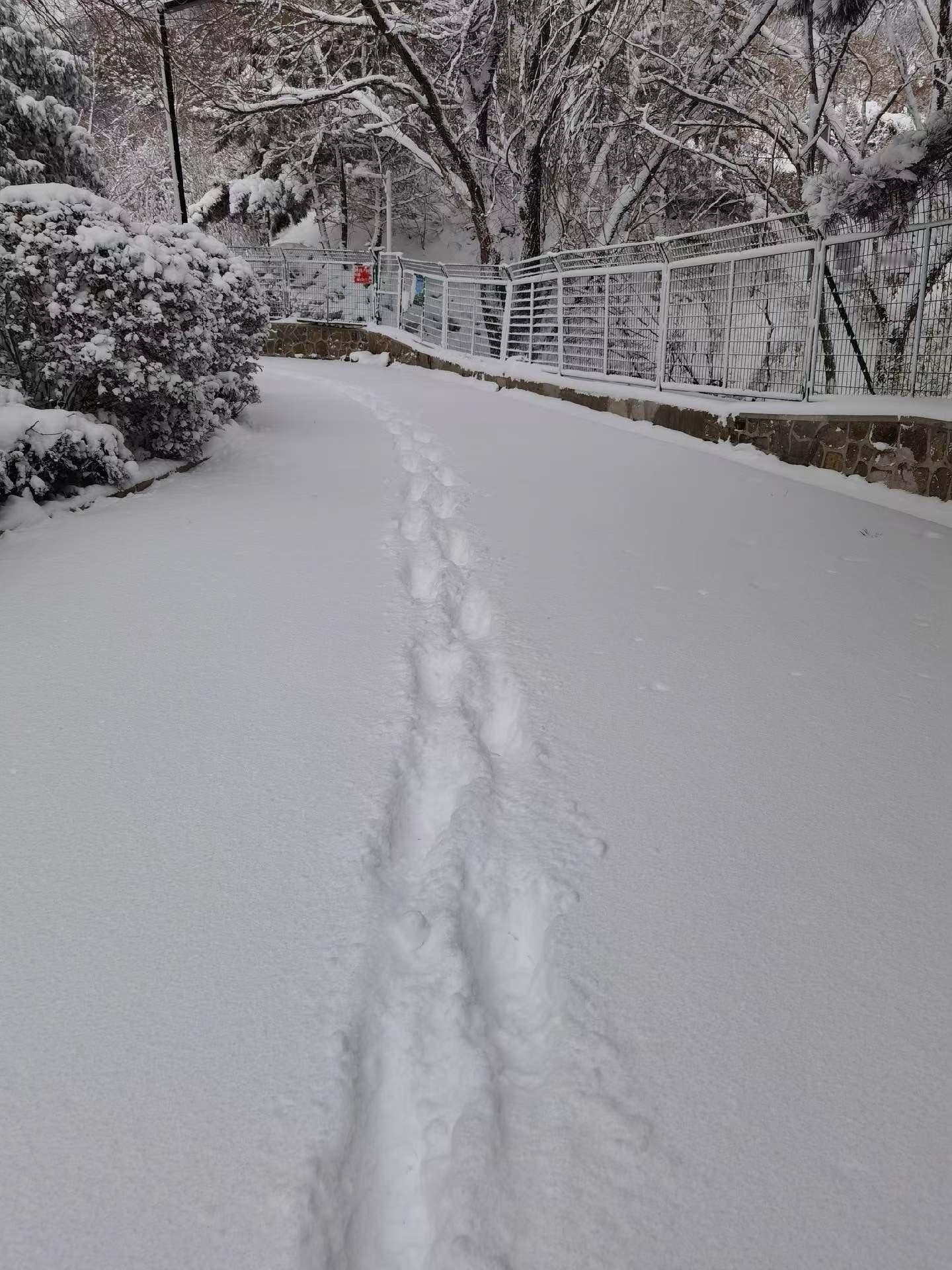 河南暴雪说来就来了 