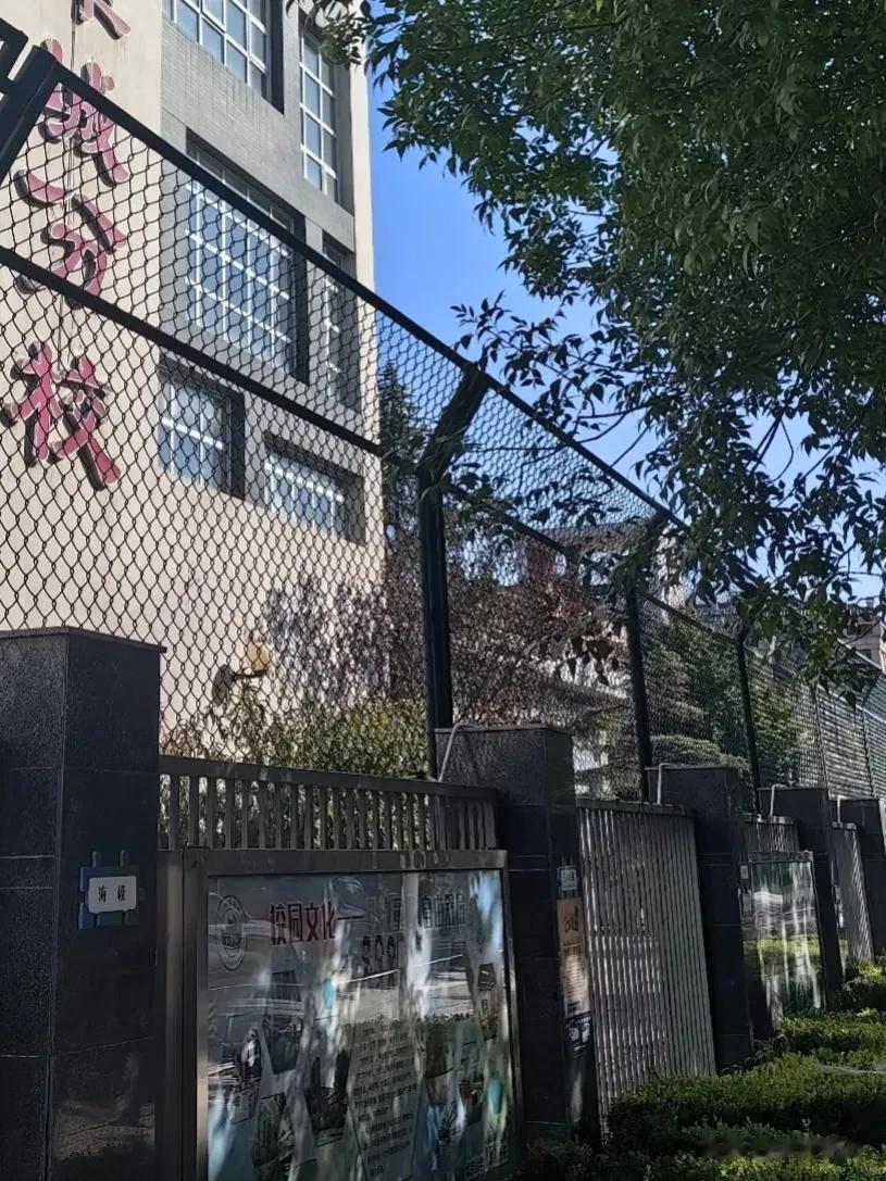 #记录我的2023#秋天来了。
今天的天，比以往任何一天都要湛蓝。
我要出行。街