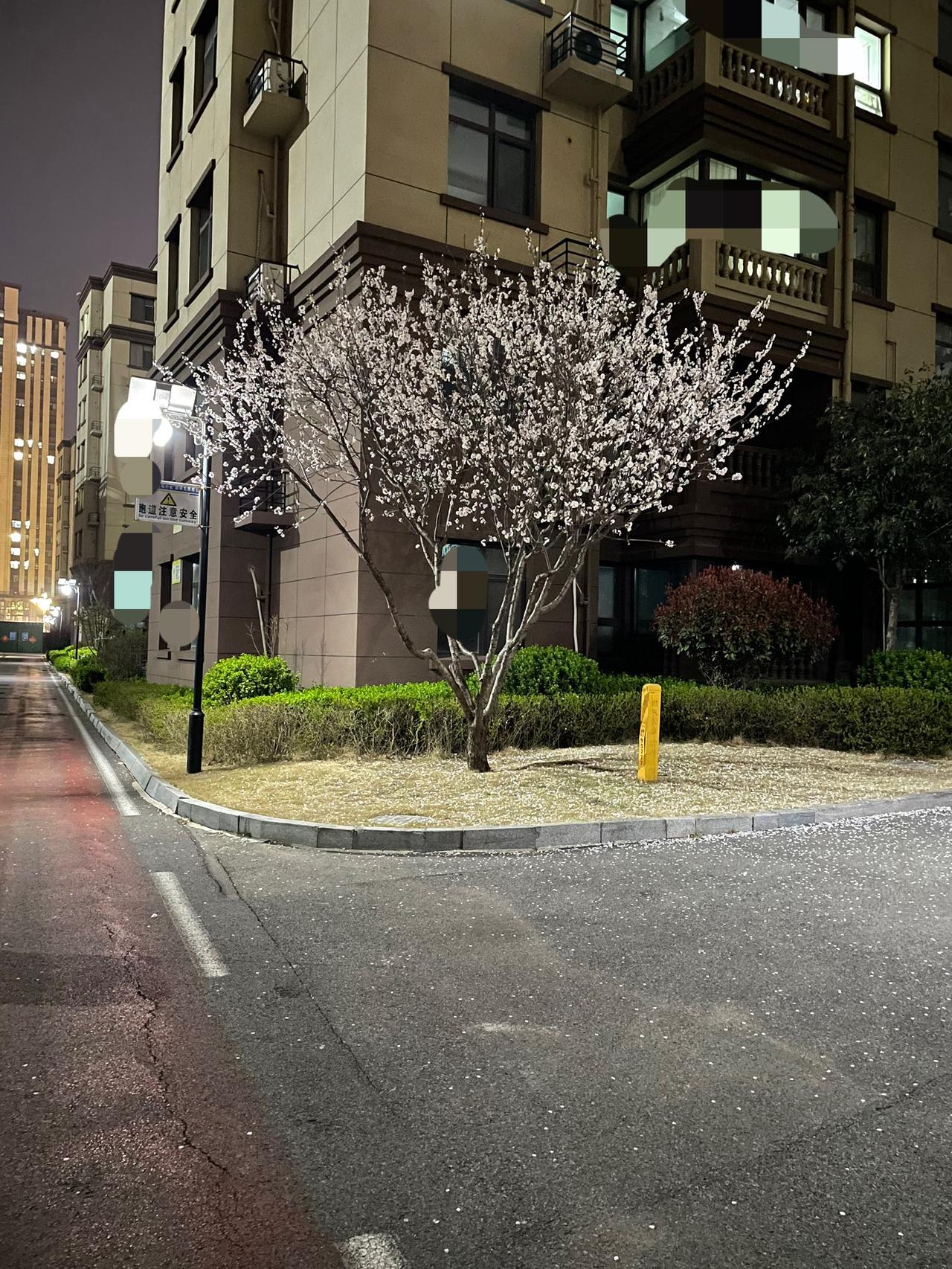 我每天晚上吃完饭都去楼下跑步，只是跑的很慢所以一直没有怎么瘦！

我老公昨天又开