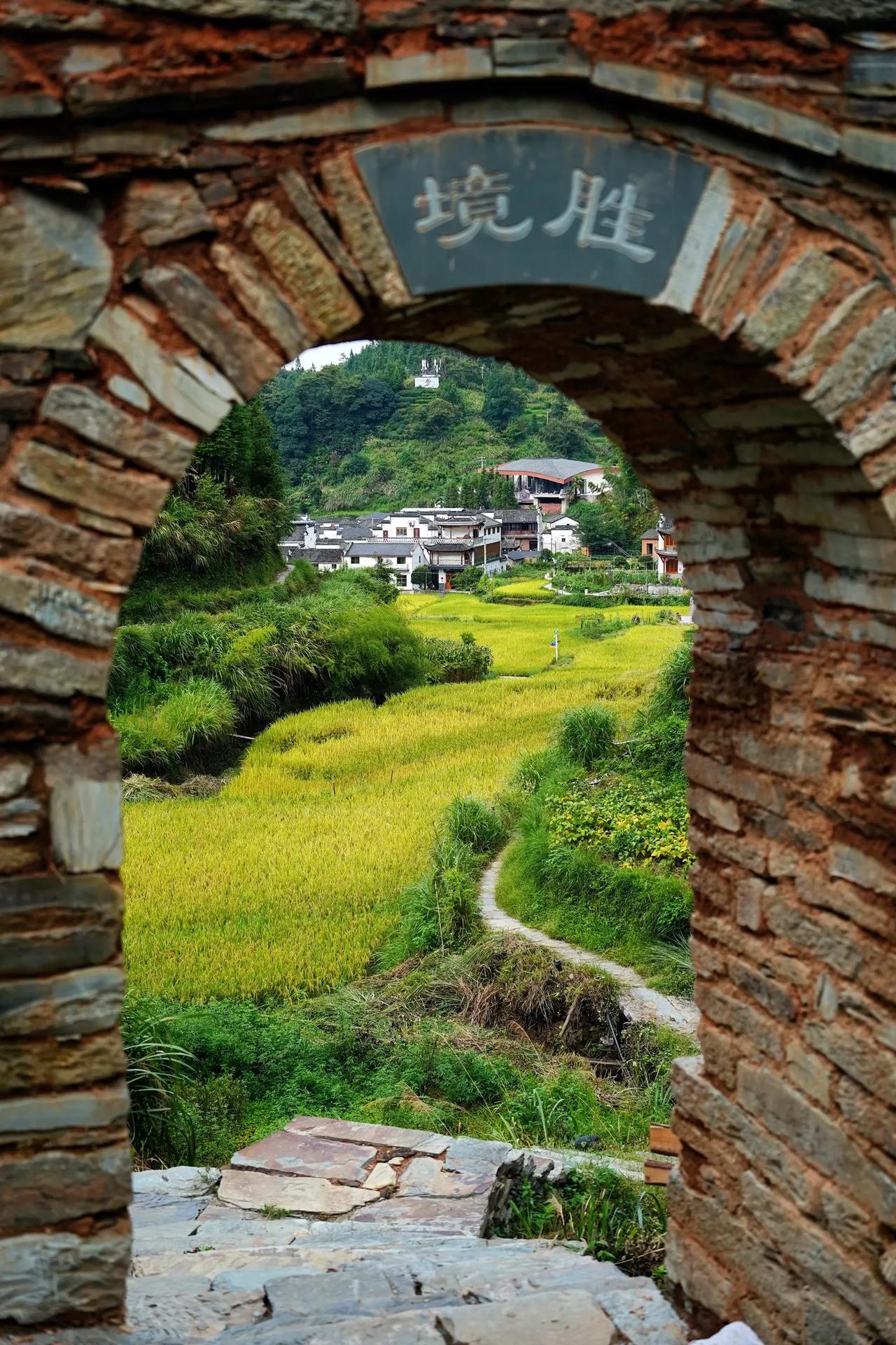 今天，一位南京的初三学生家长和我聊了聊。这个孩子原本一直在补课，成绩还不错。但最