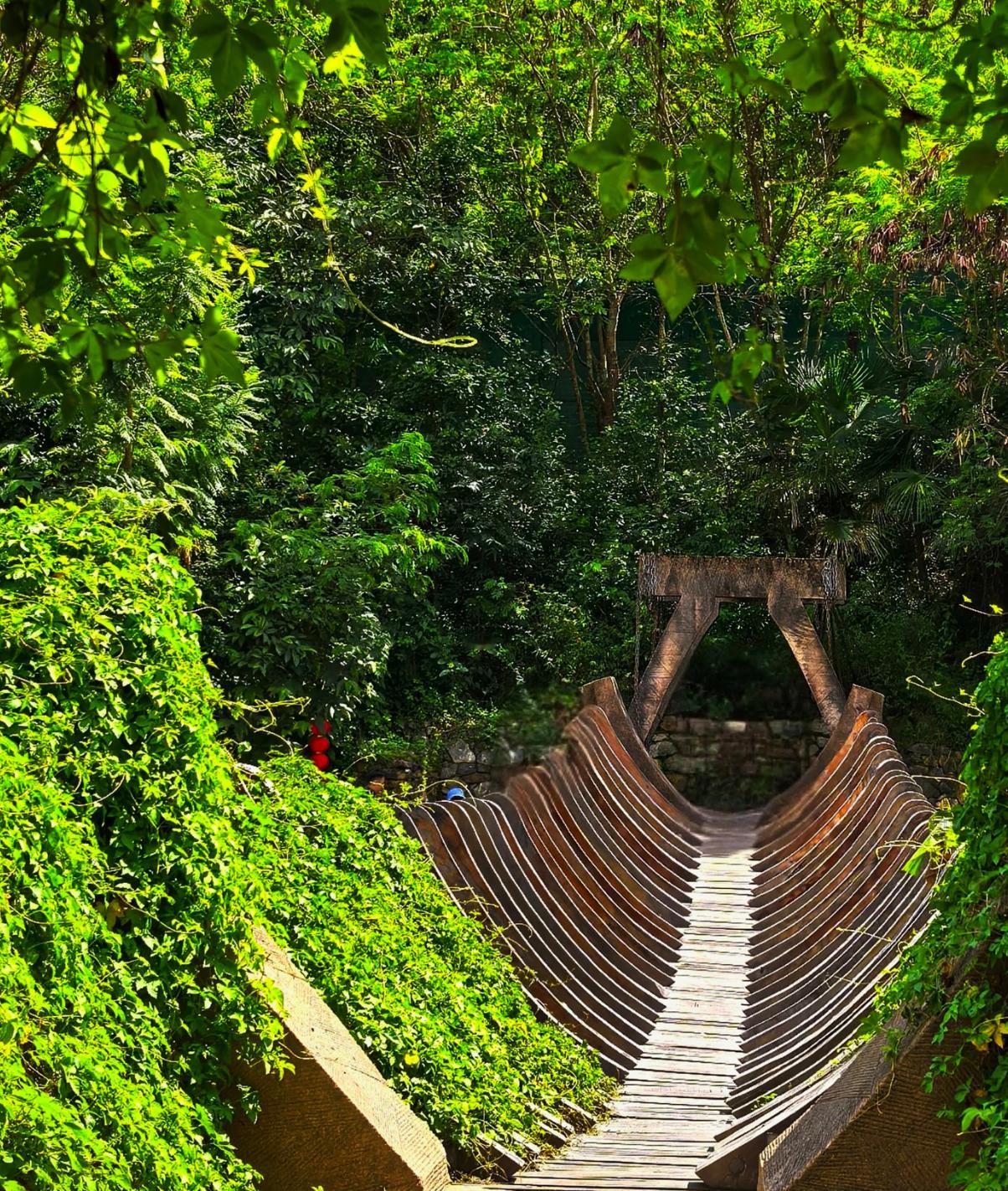 寒假云南3城漫游攻略｜普洱+西双版纳+建水 学生党2000元玩转暖冬寒假不打烊放