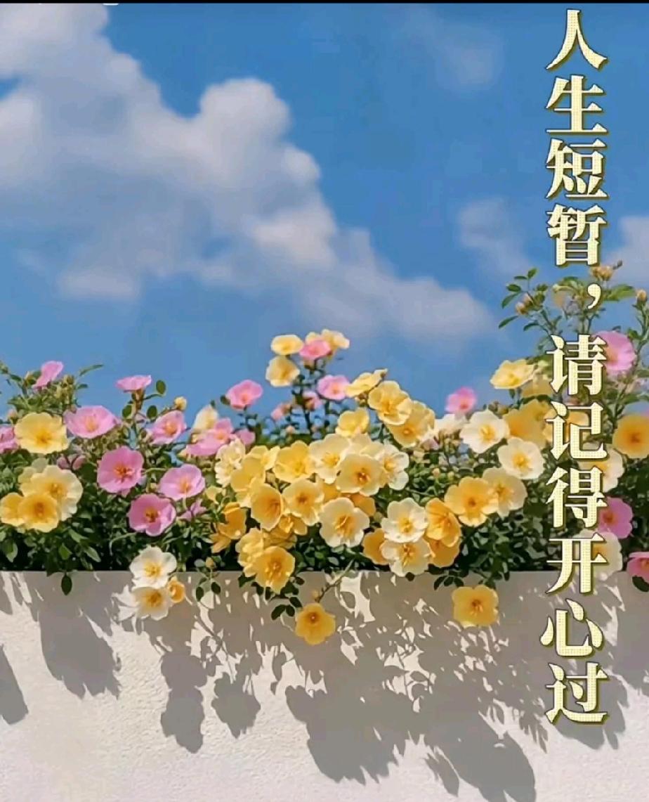 健康不是第一，而是唯一。这也贵，那也贵，其实自己最贵，先爱自己吧。

人生短哲，