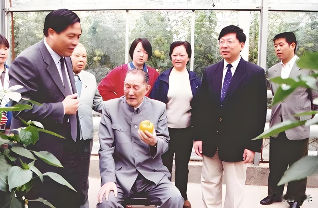 图片为洪学智和大儿子洪虎的照片，彼时的洪学智上将已年近90高龄，依然精神面貌不错