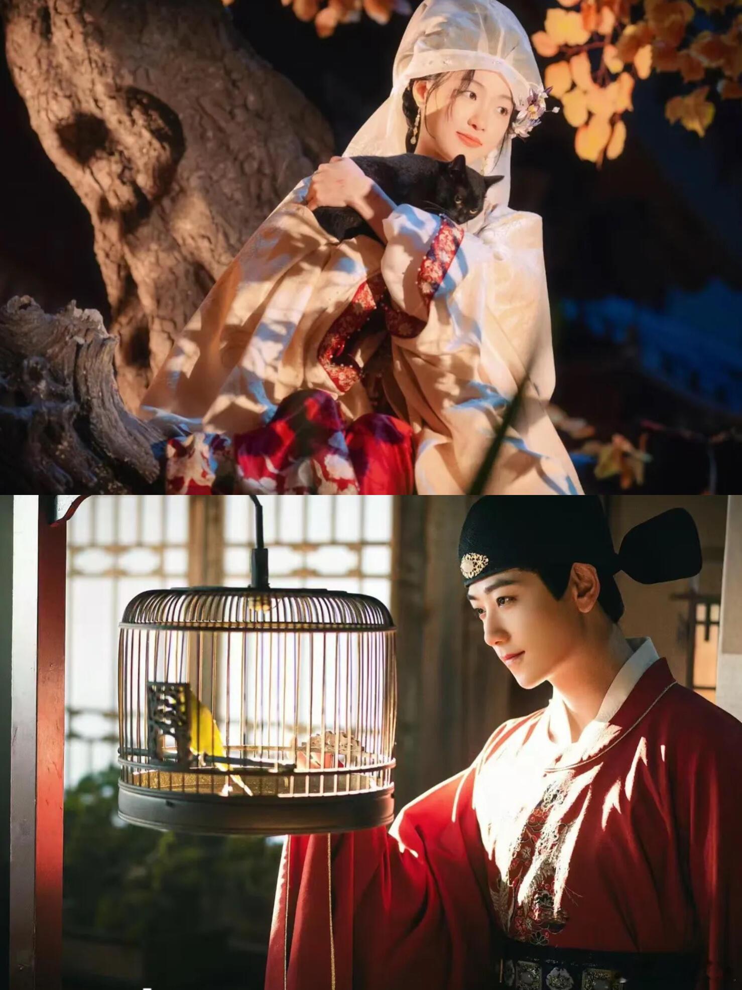 于雷在《绮梦令》里的反差真的惊到我了！之前明明是浓眉大眼的阳光帅哥，还爱去音乐节